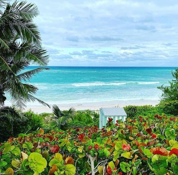 Striped beach hut framed by sea grapes looking out to turquoise Bimini water