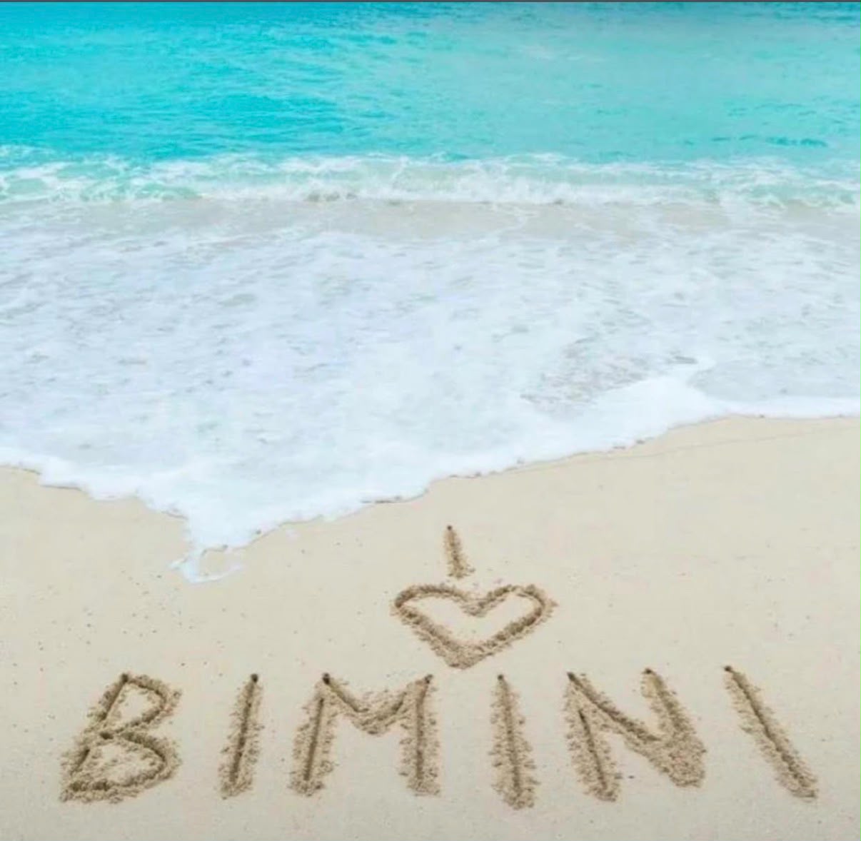 Snorkeling and reef exploration in Bimini