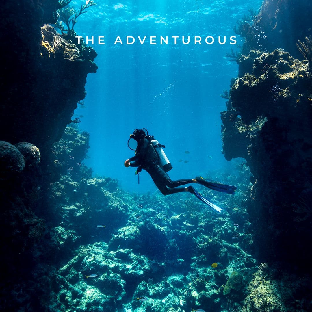 Underwater reef and marine life near Bimini