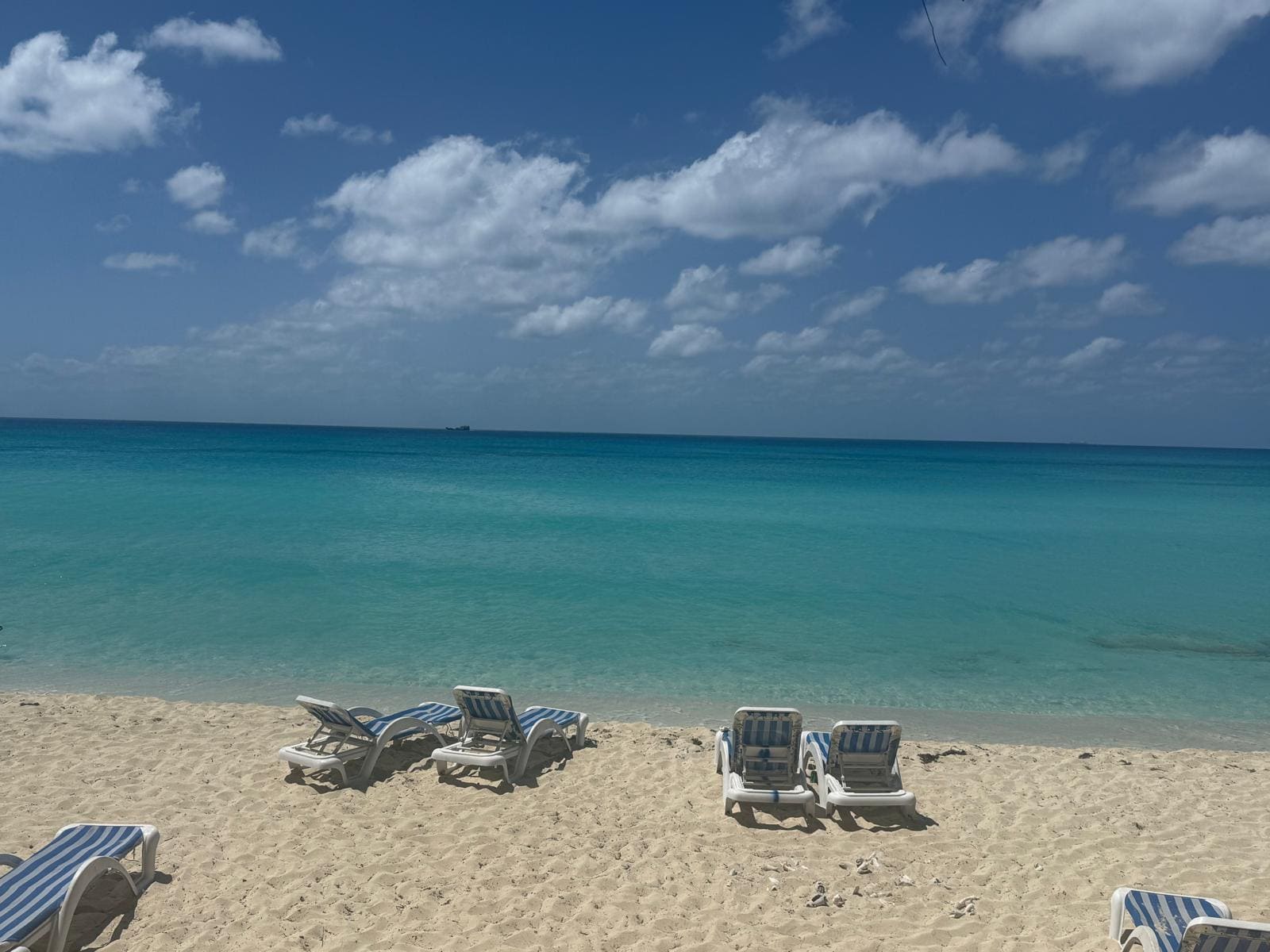 Boat and guests on a Bimini tour