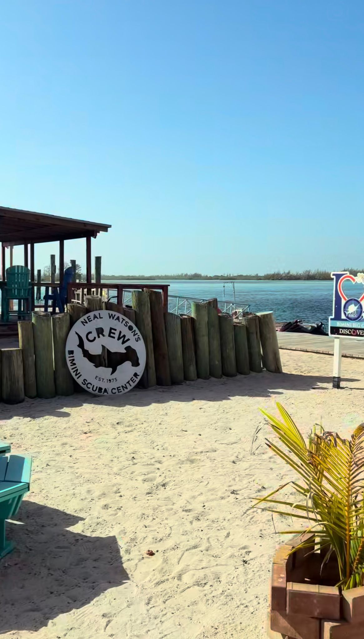 Neal Watson’s Bimini Scuba Center beach sign
