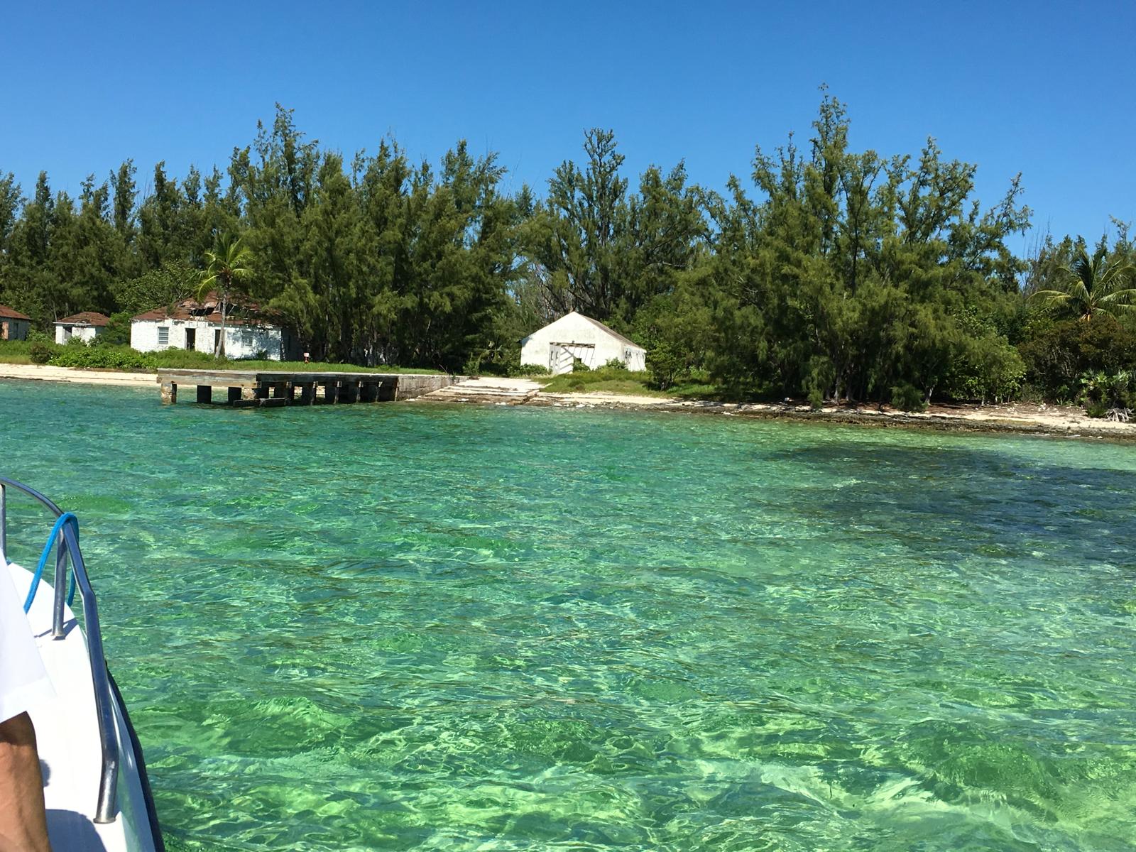 Bimini shoreline and cottages seen from a boat