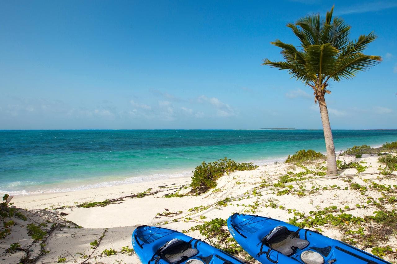 Full day beach and ocean adventure in Bimini